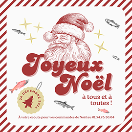 Image: 2024-12/bolt-noel-2024.png