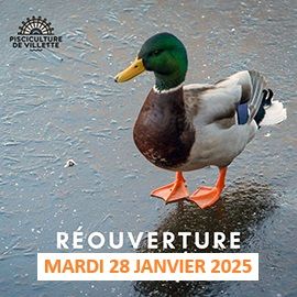Image: 2025-01/blog-fermeture-annuelle-2025.jpg