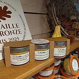 Image: 2025-11/07-11.jpg