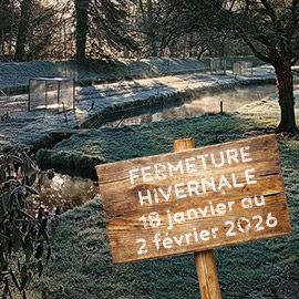 Image: 2026-01/1768319857_01-26.jpg