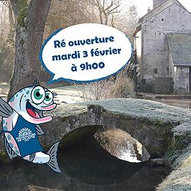 Image: 2026-02/1770111370_31-01-26.jpg