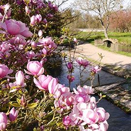 Image: 2026-03/21-03.jpg