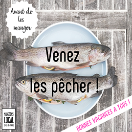 Nourriture de vacances pour poisson