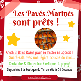 Image: 2023-11/les-paves-marines-1-.png